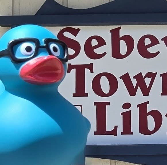 Sebewaing Township Library Location Photo
